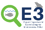 Queen's University Logo